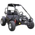 Off Road Gas/Benzin 150cc 2 Sitz-Düne-Buggy